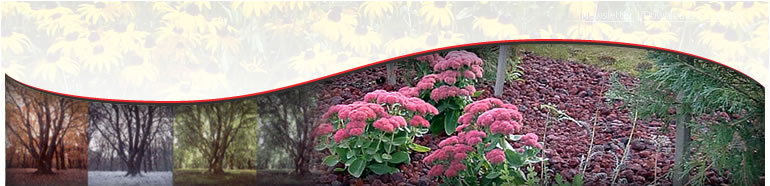 Arlington Lawncare, Inc.
